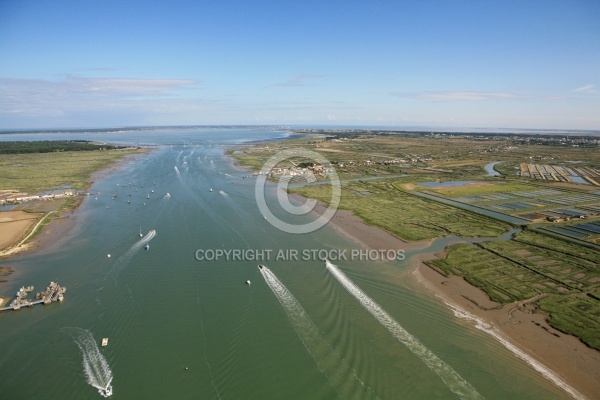 Embouchure de la seudre, Charente Maritime 17
