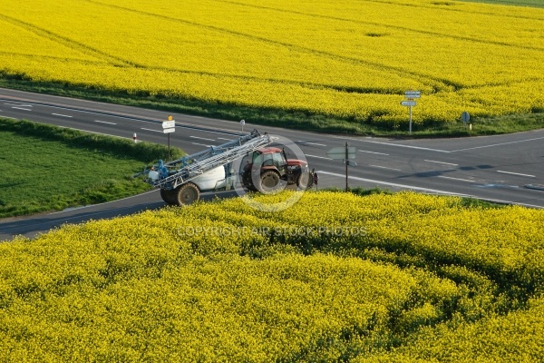 epandange pesticides champs de colza