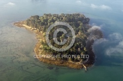 Er Runio  Île Renauld , Golfe du Morbihan 56