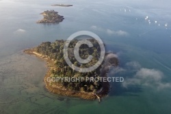 Er Runio  Île Renauld , Golfe du Morbihan 56