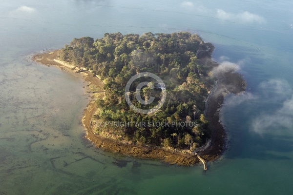 Er Runio  Île Renauld , Golfe du Morbihan 56