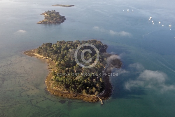 Er Runio  Île Renauld , Golfe du Morbihan 56