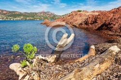 Esterel et La Rade d Agay