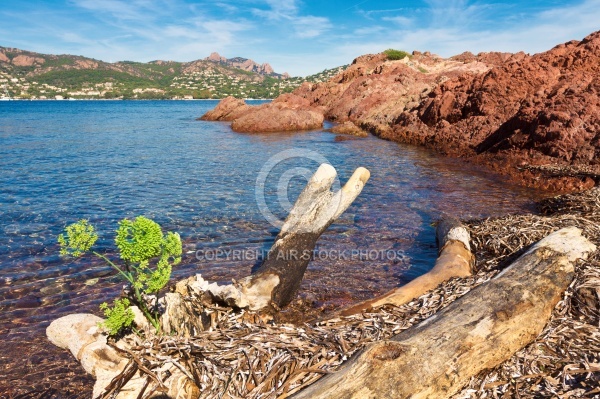 Esterel et La Rade d Agay