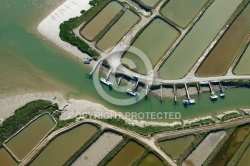 Estuaire de la Seudre et chenal des Grandes Roches, Charente-Mar