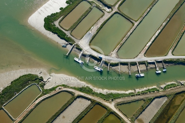 Estuaire de la Seudre et chenal des Grandes Roches, Charente-Mar