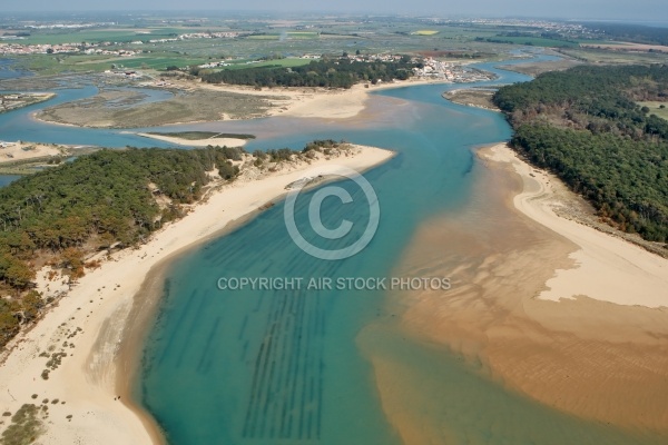 Estuaire du Payré et le Veillon, Talmont saint Hilaire, Vendée 