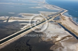 Etang de la Galère et Faraman, Camargue 13