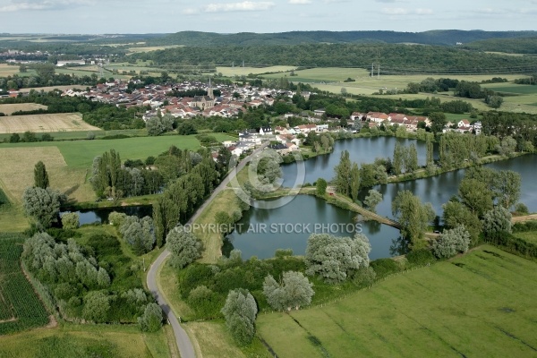 Etangs de Basse Ham, la Moselle vue du ciel 57