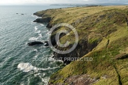 Falaises de la Pointe de Trefeuntec, Plonévez-Porzay