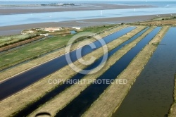 Fort Vasoux et marais de la Cabane