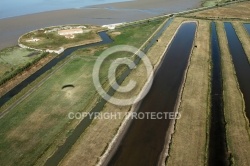 Fort Vasoux et marais de la Cabane