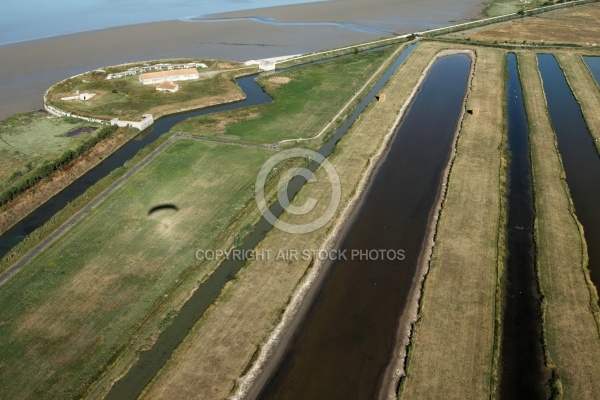 Fort Vasoux et marais de la Cabane