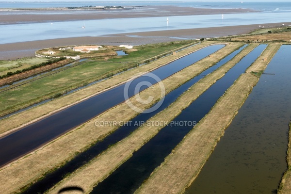 Fort Vasoux et marais de la Cabane