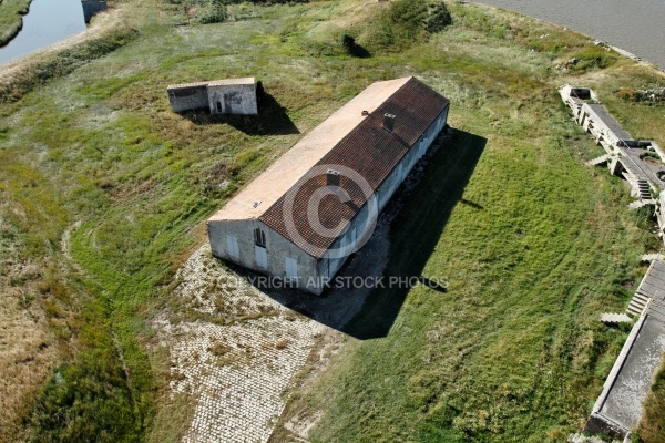 Fort Vasoux ou Fort de la Pointe