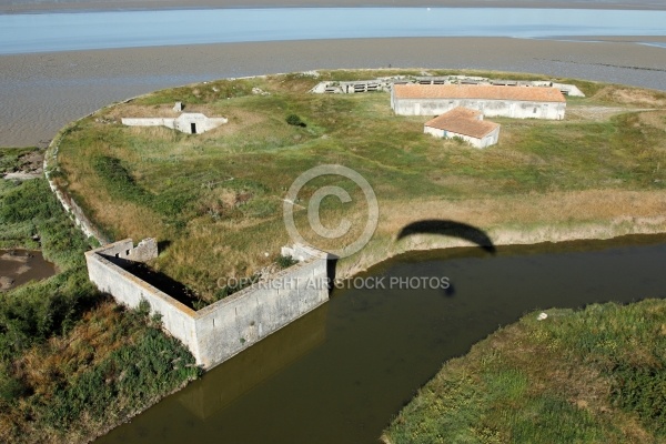 Fort Vasoux ou Fort de la Pointe