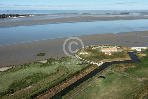 Fort Vasoux vue du ciel avec l île madame