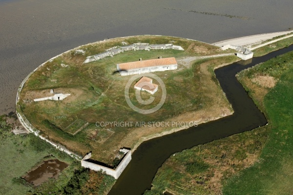 Fort Vasoux vue du ciel