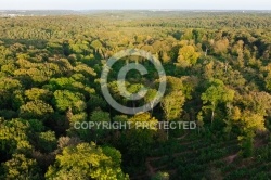 Forêt domaniale de Dourdan 91 vue du ciel