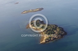 Ile grand Veizit , Golfe du Morbihan 56 Ile grand Veizit , Golfe du Morbihan 56