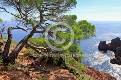 L Esterel , Var, Alpes-Maritimes