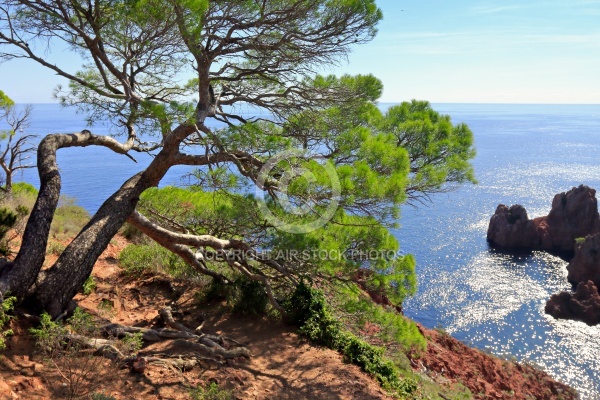 L Esterel , Var, Alpes-Maritimes