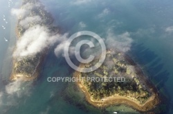 L îles Radenec et l île Longue , Golfe du Morbihan 56