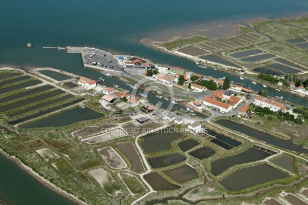 La Cayenne, Marennes vue du ciel