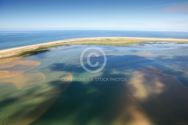 La palmyre, Baie de bonne Ance