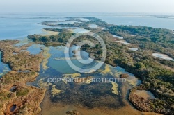 la petite Camargue vue du ciel