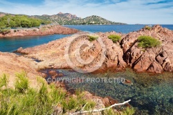 La Rade d Agay vue du Cap Dramont