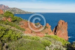 La Rade d Agay vue du Cap Dramont