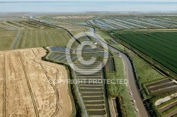 Le Havre de  Brouage vue du ciel