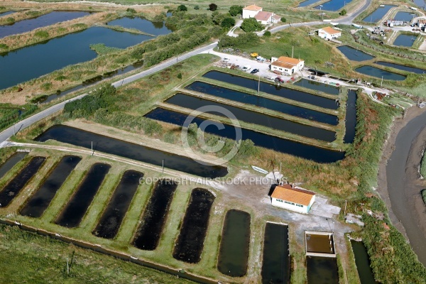 Le Havre de  Brouage vue du ciel