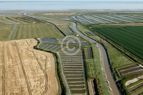 Le Havre de  Brouage vue du ciel