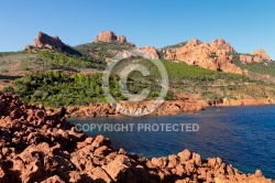 Le Massif de l Esterel