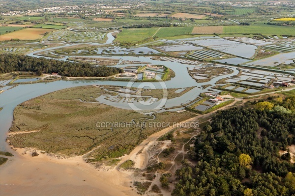 Le veillon , Talmont-Saint-Hilaire vue du ciel