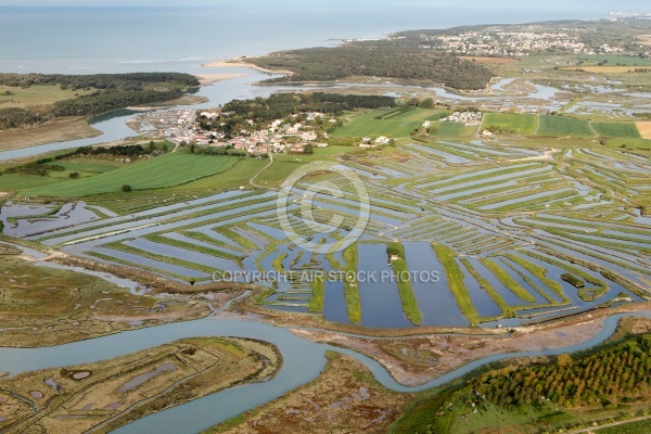 Le veillon , Talmont-Saint-Hilaire vue du ciel