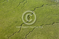 Les Mathes Anse de la Palmyre vue du ciel