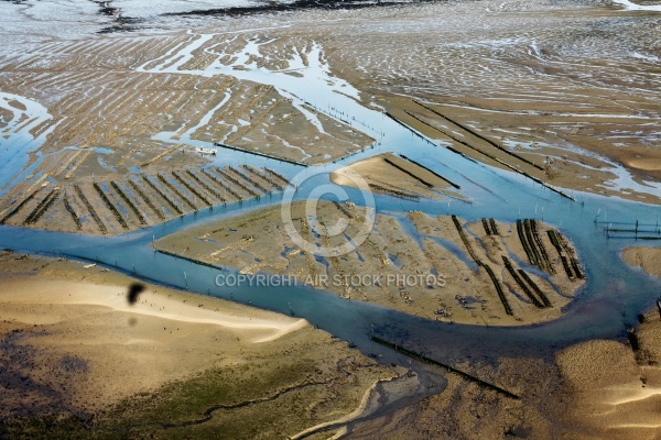 Les Mathes Anse de la Palmyre vue du ciel