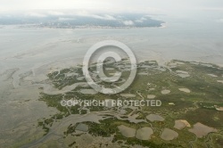 Lîle aux Oiseaux, bassin d Arcachon, Gironde, 33,  Aquitaine