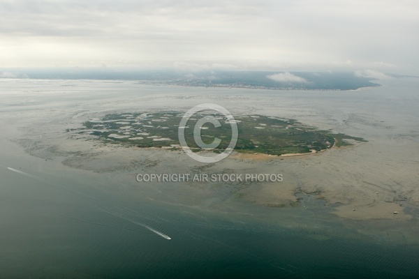 Lîle aux Oiseaux, bassin d Arcachon, Gironde, 33,  Aquitaine