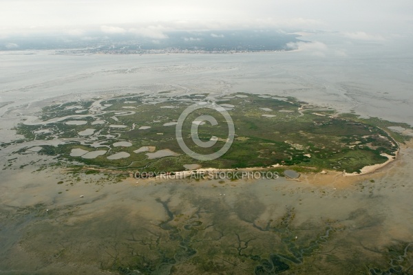 Lîle aux Oiseaux, bassin d Arcachon, Gironde, 33,  Aquitaine