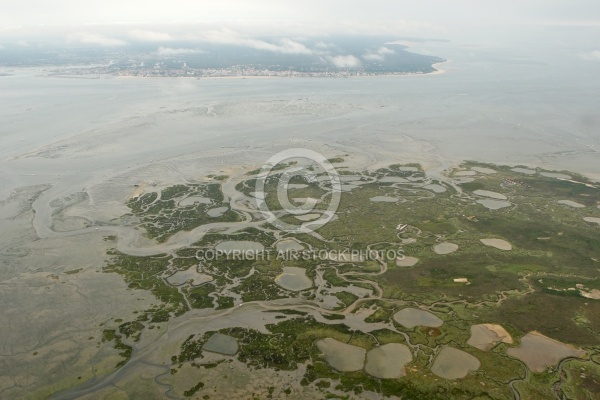 Lîle aux Oiseaux, bassin d Arcachon, Gironde, 33,  Aquitaine