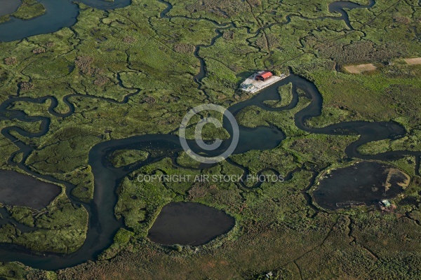 Lîle aux oiseaux, la Teste-de-Buch vue du ciel