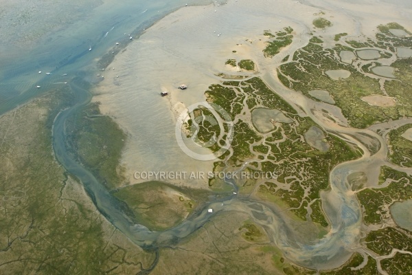 Lîle aux Oiseaux, les cabanes tchanquées, bassin d Arcachon, Gir