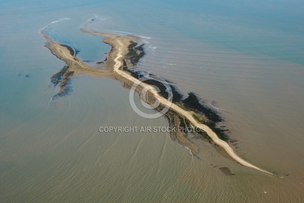 Lîle Madame,  La passe aux filles  , Charente-Maritime 17