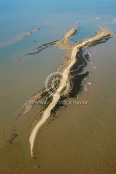 Lîle Madame,  La passe aux filles  , Charente-Maritime 17