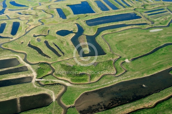 Marais Breton de Bourgneuf-en-Retz, Loire Atlantique 44