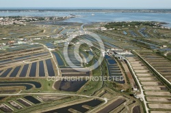 Marais de Bourcefranc-le-Chapus vue du ciel